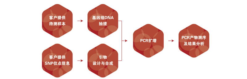 图片7-SNP检测.png