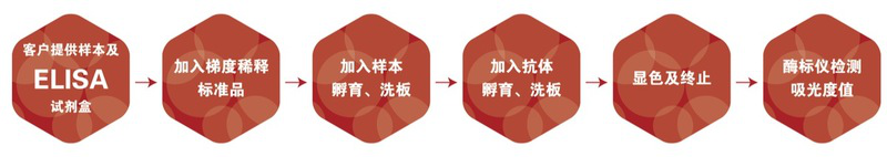 图片12-ELISA检测.png
