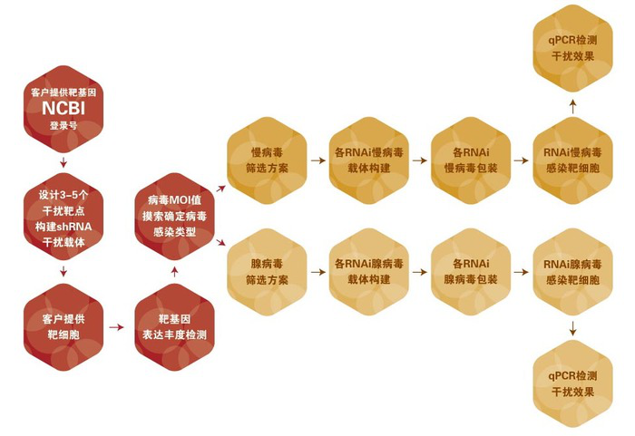 图片24-RNA病毒包装及筛选.png