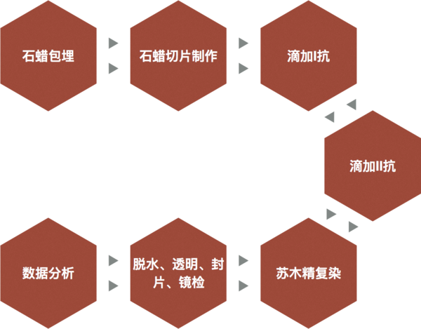 图片27-免疫组化(IHC).png